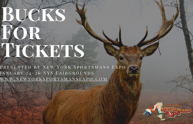 Bucks for tickets